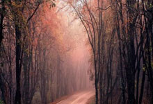 切尔西再胜对手，锁定前四席位