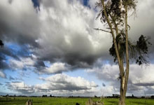 热刺主场压哨绝杀，夺得三分