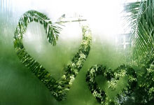 切尔西再胜对手，锁定前四席位