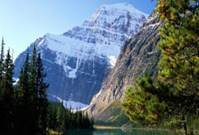 切尔西再胜对手，锁定前四席位